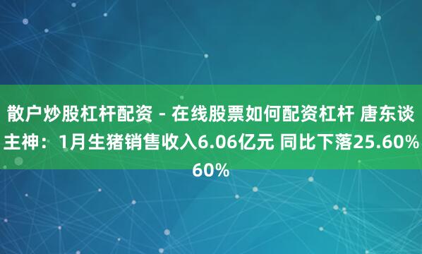 散户炒股杠杆配资 - 在线股票如何配资杠杆 唐东谈主神：1月生猪销售收入6.06亿元 同比下落25.60%
